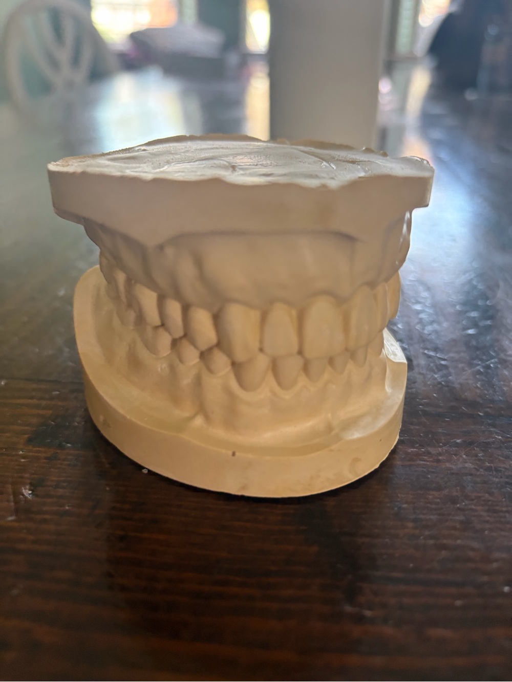 Unbranded Cream Dental Model Sculpture - Home Accent
